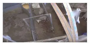 Abattoir-Vigan - Votre Actualité au Quotidien Une nouvelle vidéo choc tournée dans un abattoir