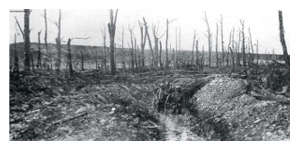 Verdun célèbre le centenaire de la bataille 1914-1918