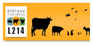 L214 - abattage