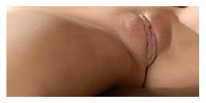 Exemple de pubis féminin rase pubis rasé