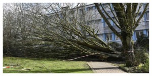 Tempête Zeus : toujours 220.000 foyers toujours privés d'électricité