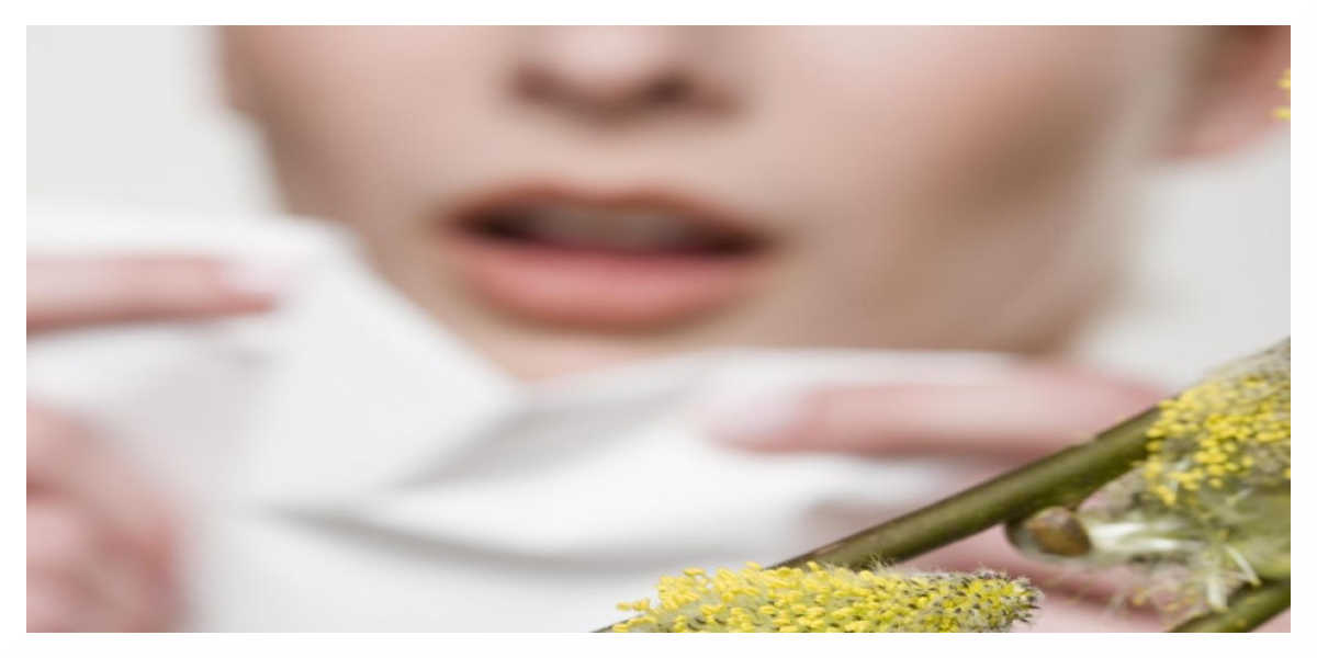 Allergies respiratoires : des spécialistes sonnent l'alarme