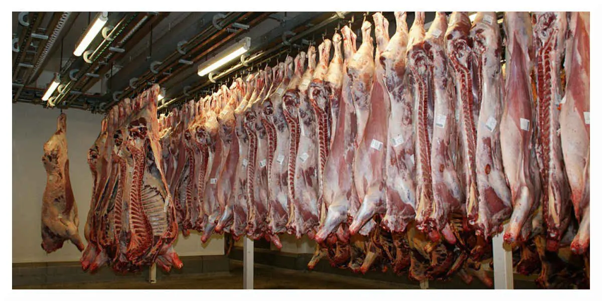 Abattoir