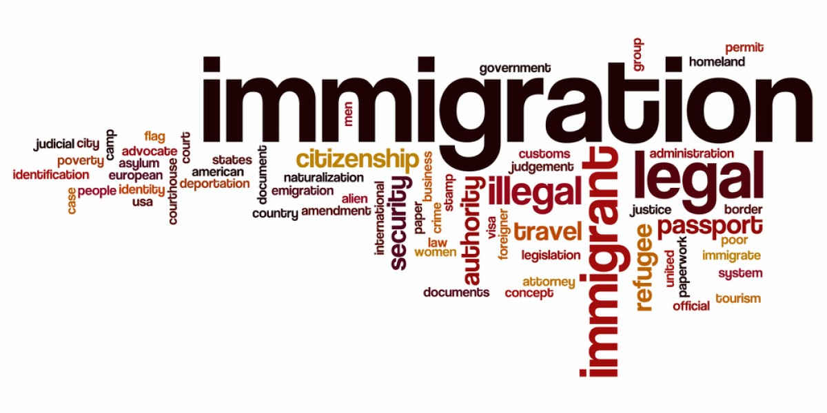 Le Sénat épingle la politique de Macron sur l'immigration