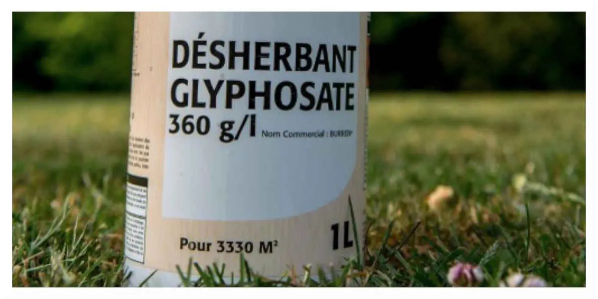 Glyphosate : son autorisation pourrait être prolongée de dix ans de plus