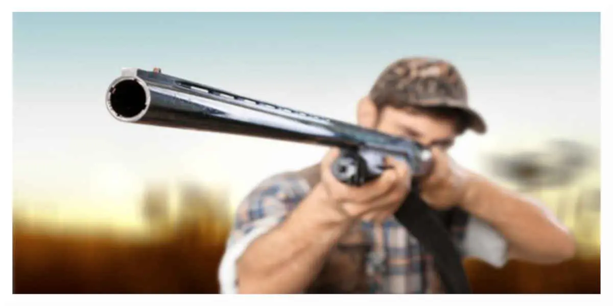 Fondations et associations s'unissent pour «dénoncer les excès» de la pratique de la chasse