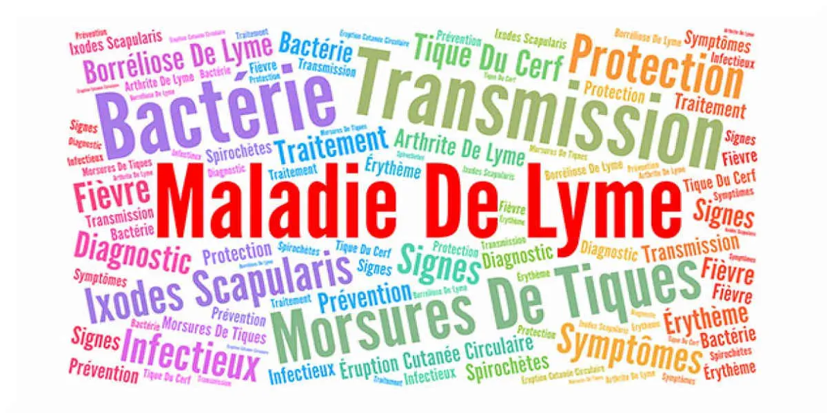 maladie-lyme - Votre Actualité au Quotidien 80% de mauvais diagnostics concernant la maladie de Lyme