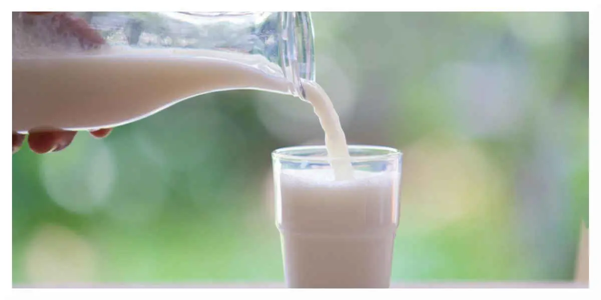 Lait - Votre Actualité au Quotidien Lait