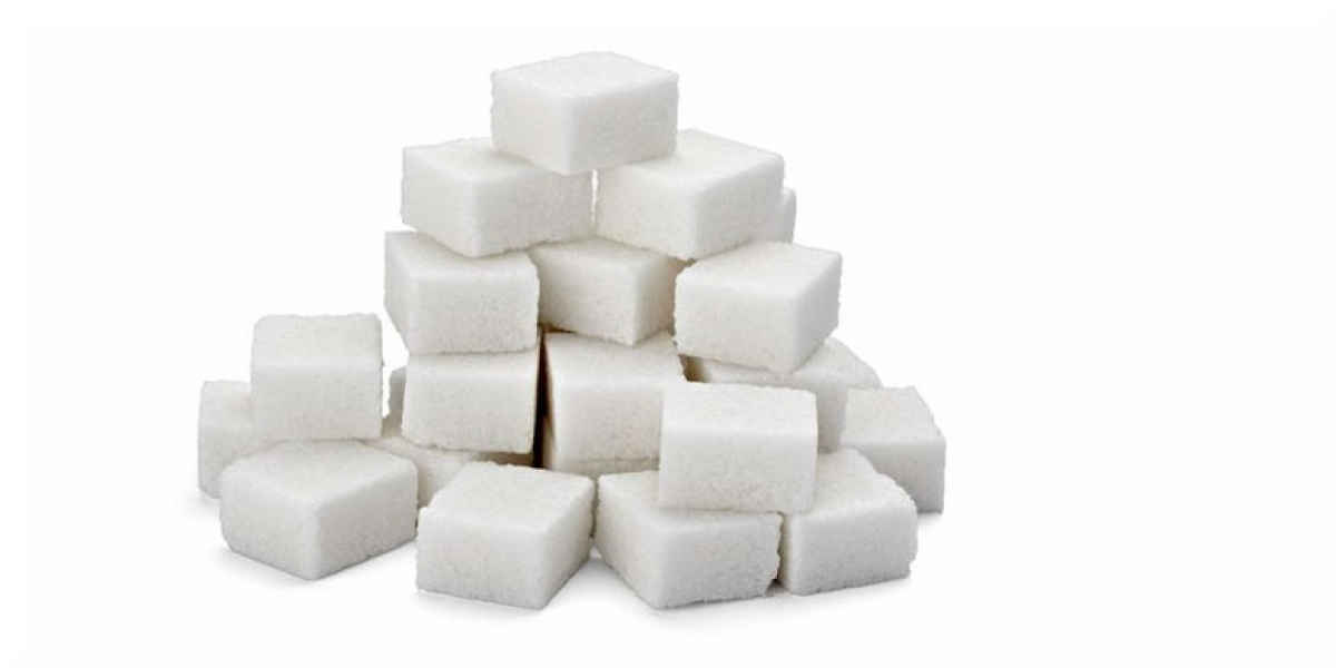 Sucre - Votre Actualité au Quotidien