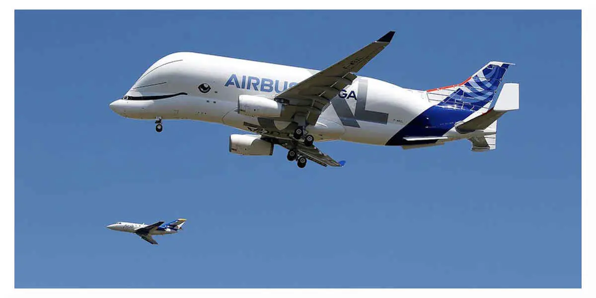 Beluga XL