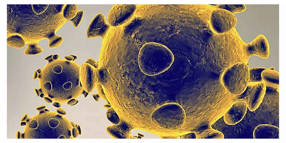 Coronavirus