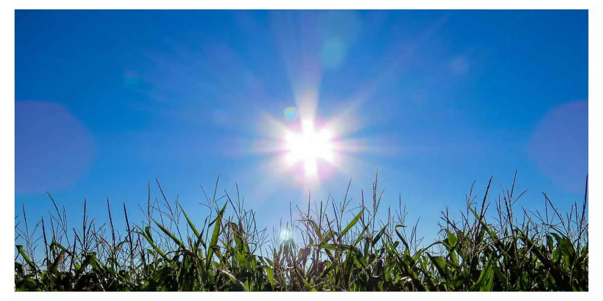 Une nouvelle période de fortes chaleurs est prévue pour la semaine prochaine