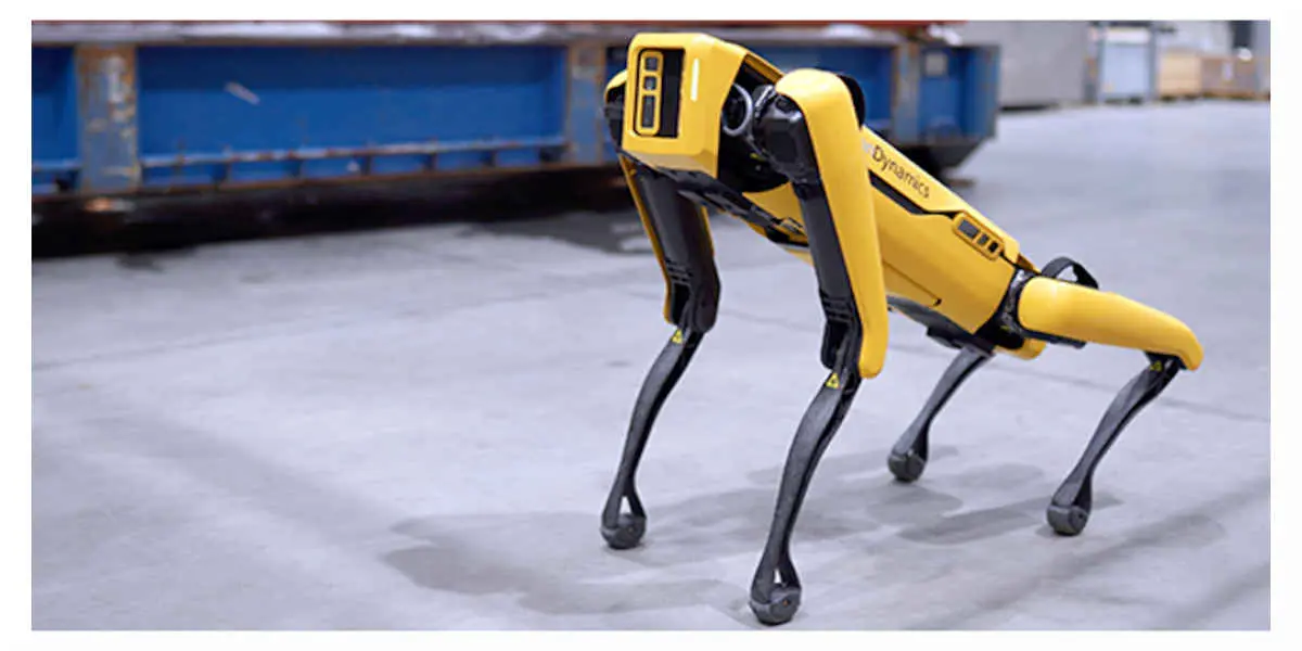 Chien de Boston Dynamic