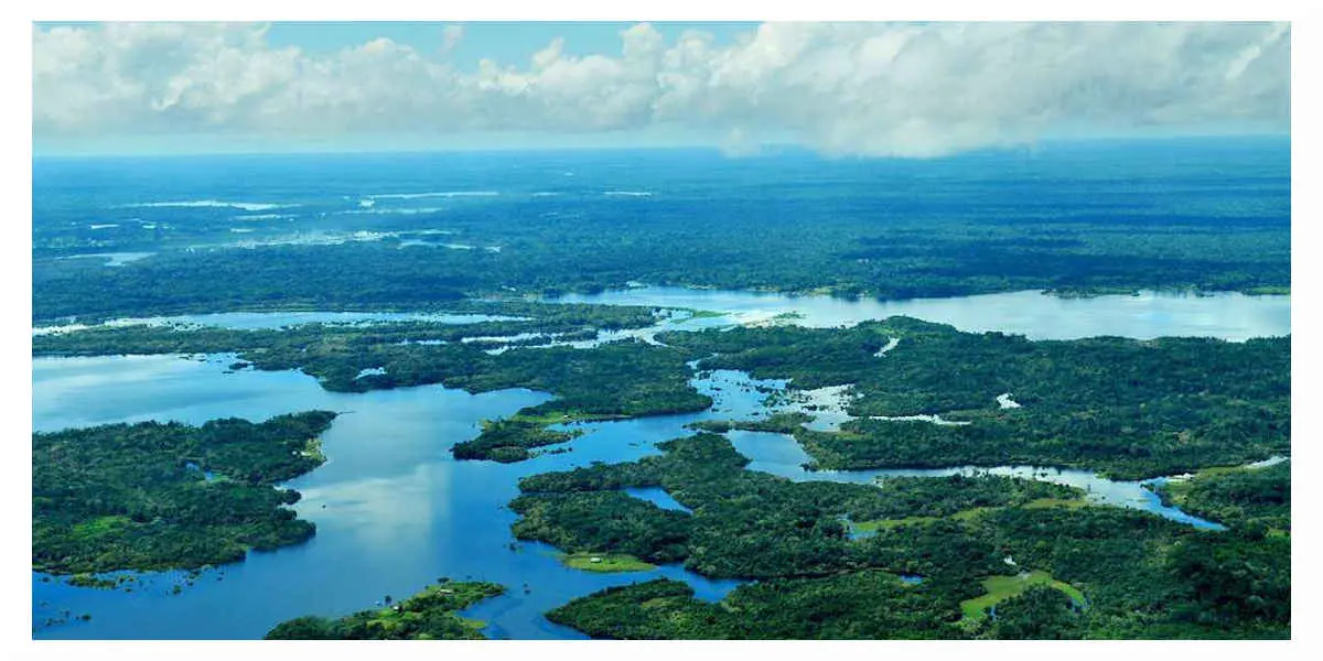 Foret Amazonienne