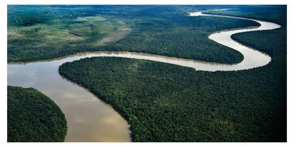 Forêt Amazonienne