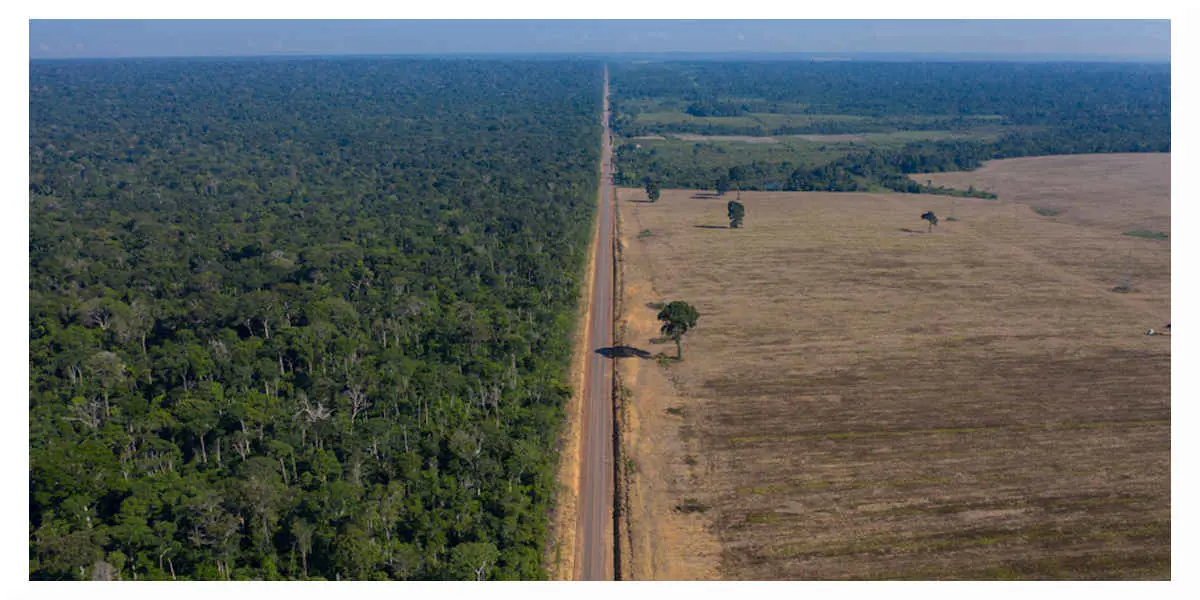 Amazonie-deforestation - Votre Actualité au Quotidien La déforestation de l'Amazonie brésilienne ralentie