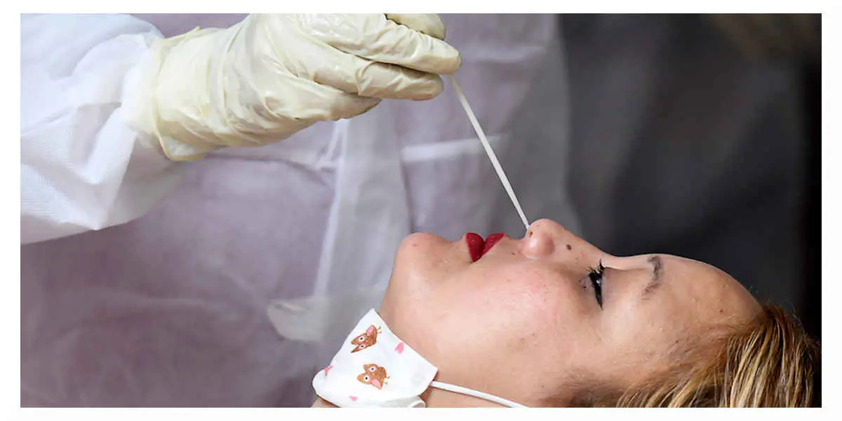 L' épidémie de la Covid-19