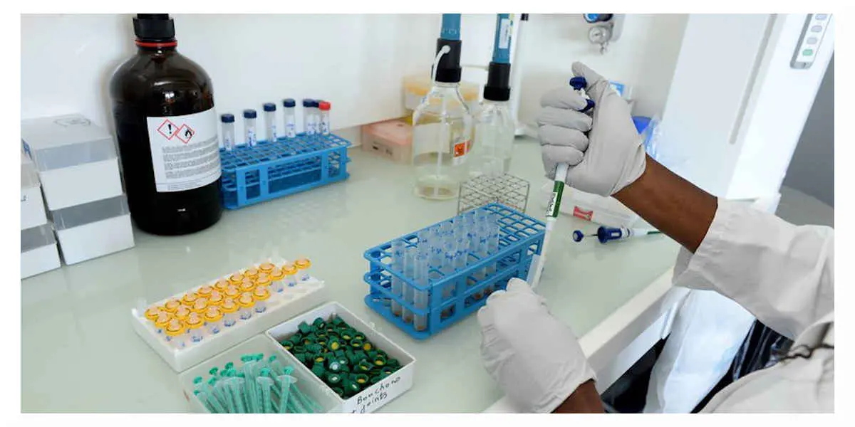 Science : les enseignements lié à la Covid-19 n'ont pas été complètement tirées