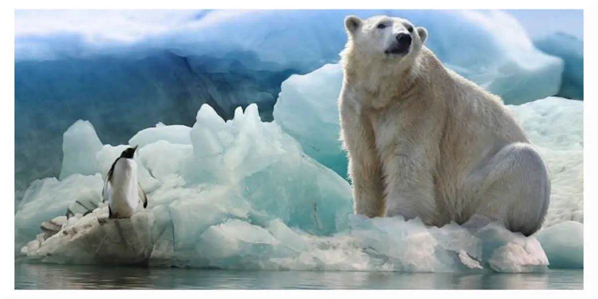 Plusieurs points de non-retour pourraient être rapidement atteints, selon une étude sur le réchauffement climatique