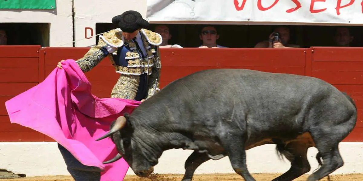 La tauromachie