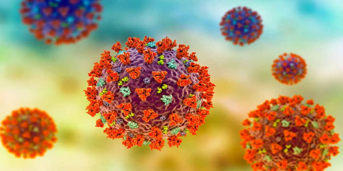Mutation coronavirus Sars-cov2