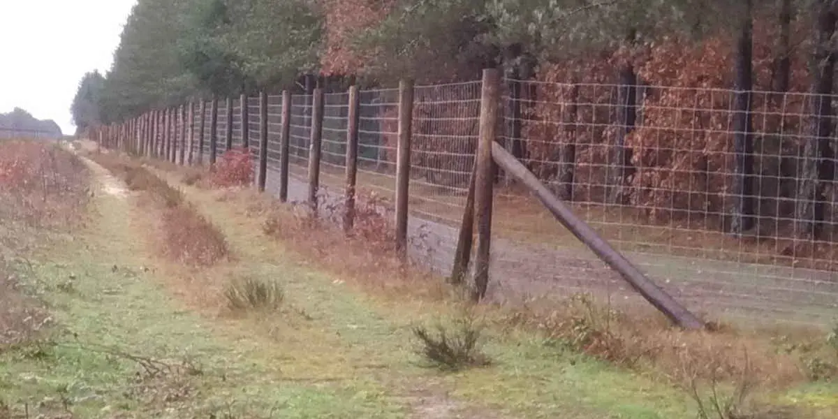 Pratique de la chasse en Sologne La chasse en Sologne