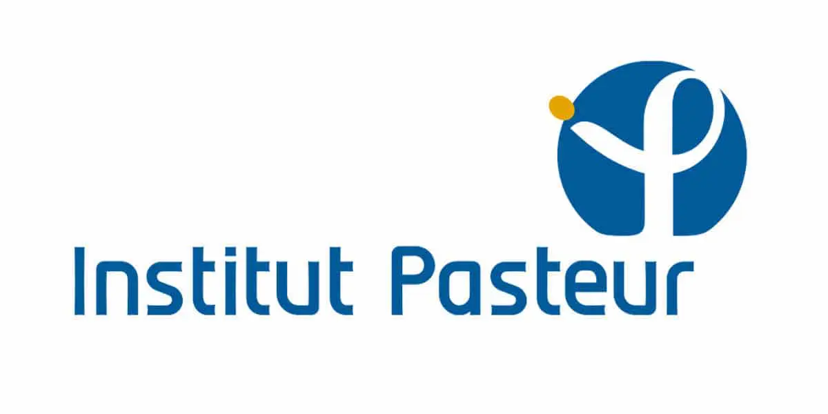 Une nouvelle étude de l’Institut Pasteur prévoie un retour à la vie normale grâce à la vaccination