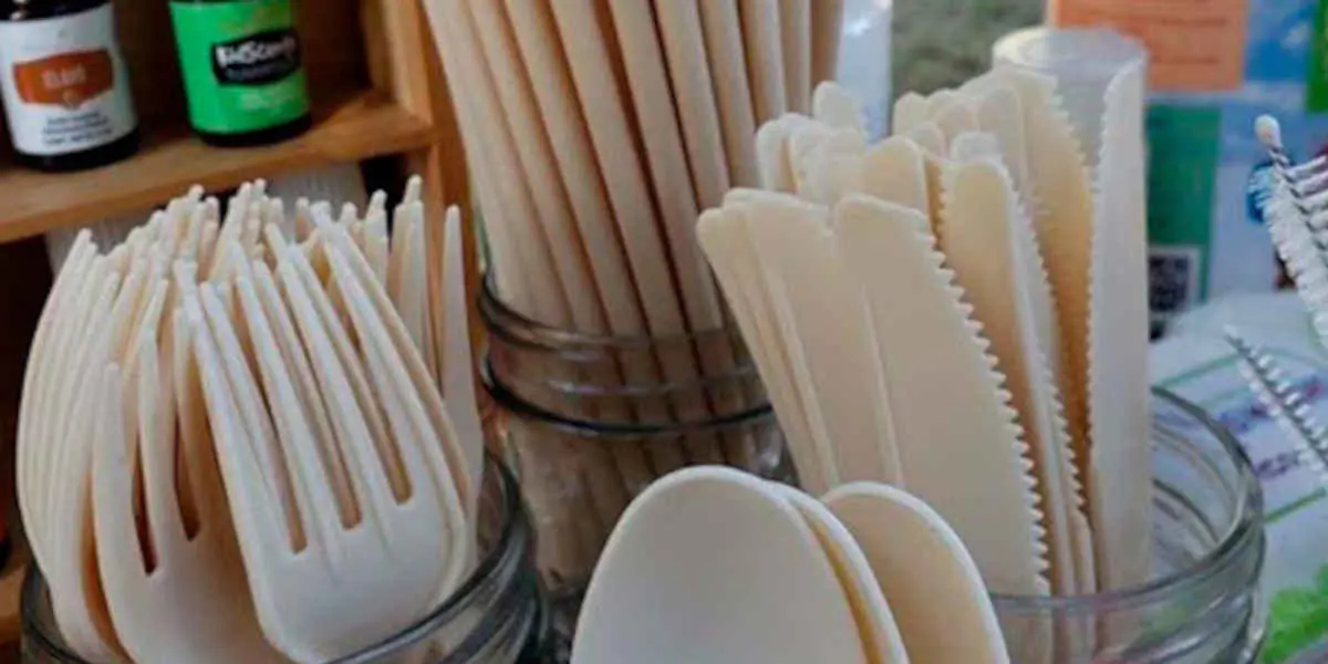 Entrée en vigueur de la directive européenne sur l'interdiction des plastiques à usage unique