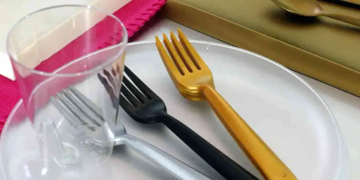 Les plastiques à usage unique interdits en Europe ? Les citoyens doivent surveiller