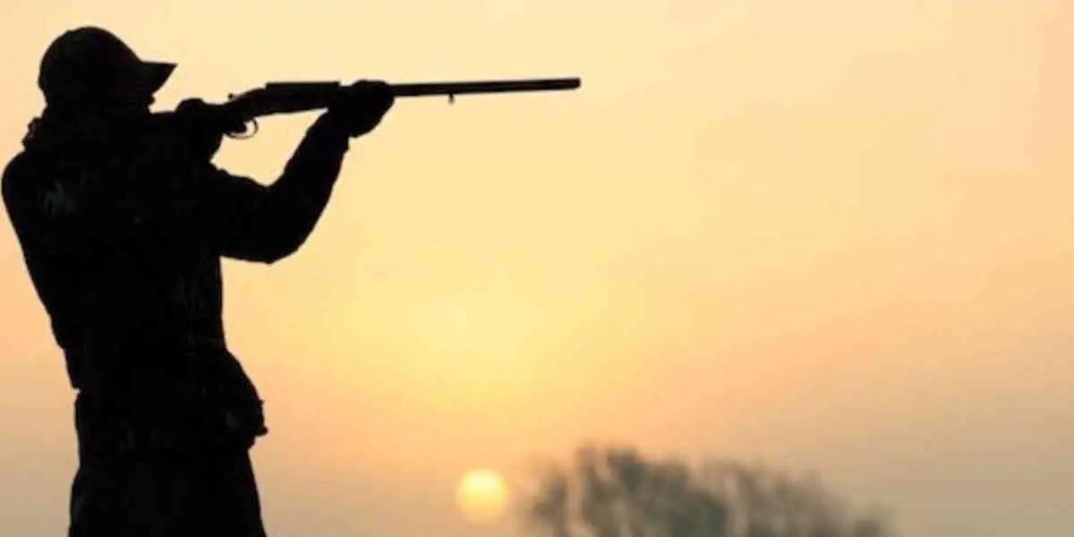 Les chasseurs en «état d'ivresse» désormais punis d'une amende