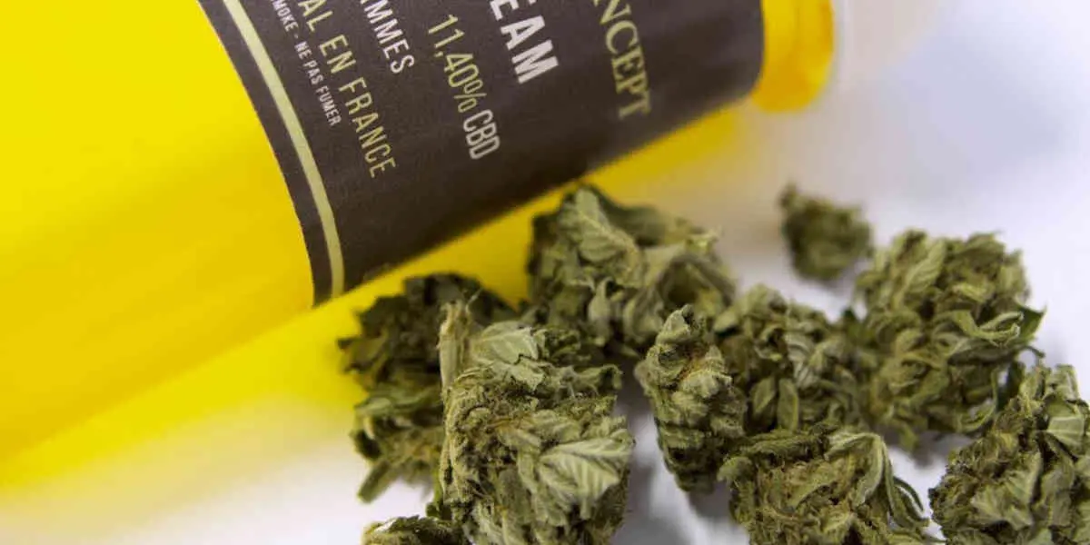 Revers pour le gouvernement dans le dossier du cannabis (CBD), le conseil d’État l'autorise