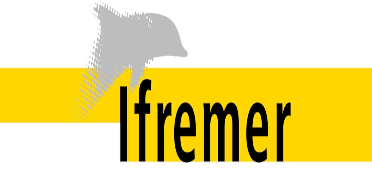 des flotteurs déployés en mer par des skippers du Vendée Globe