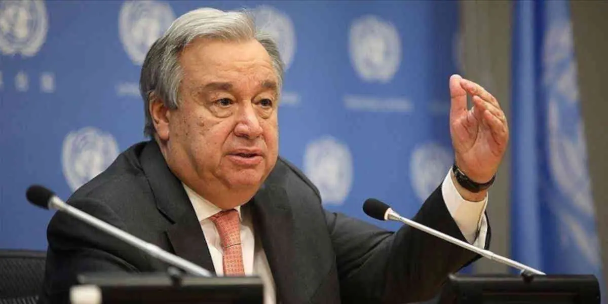 COP16 biodiversité : le chef de l'ONU appelle à des 