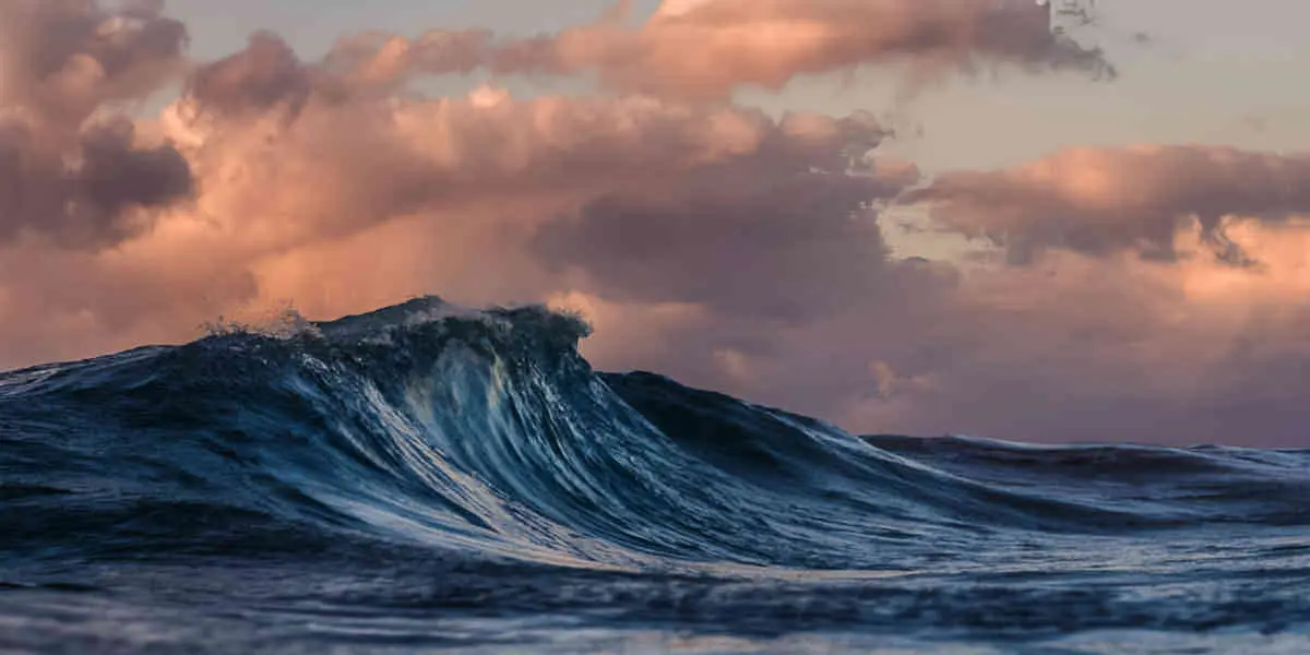 Ocean - Votre Actualité au Quotidien Nouveau record de température à la surface des océans atteint en février