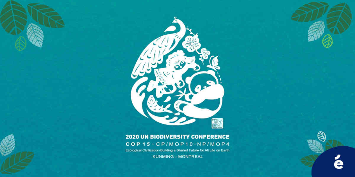 COP15 biodiversité : plus de 190 États approuvent un accord historique