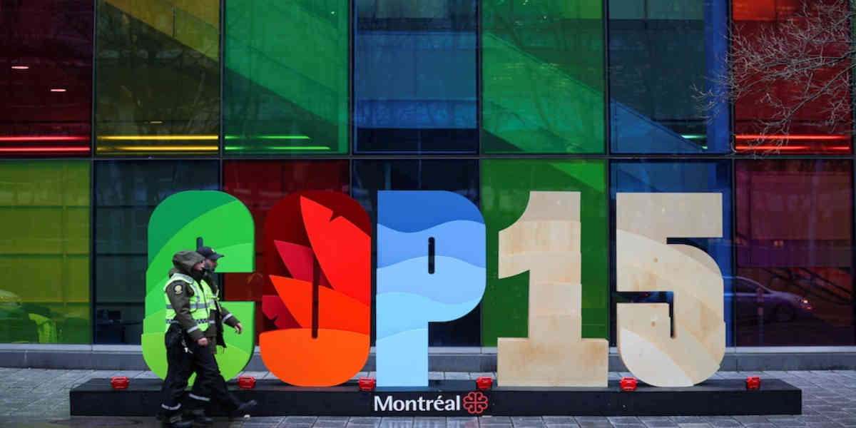 COP15 Biodiversité : Le chemin vers un accord ambitieux pour la protection de la biodiversité est encore long