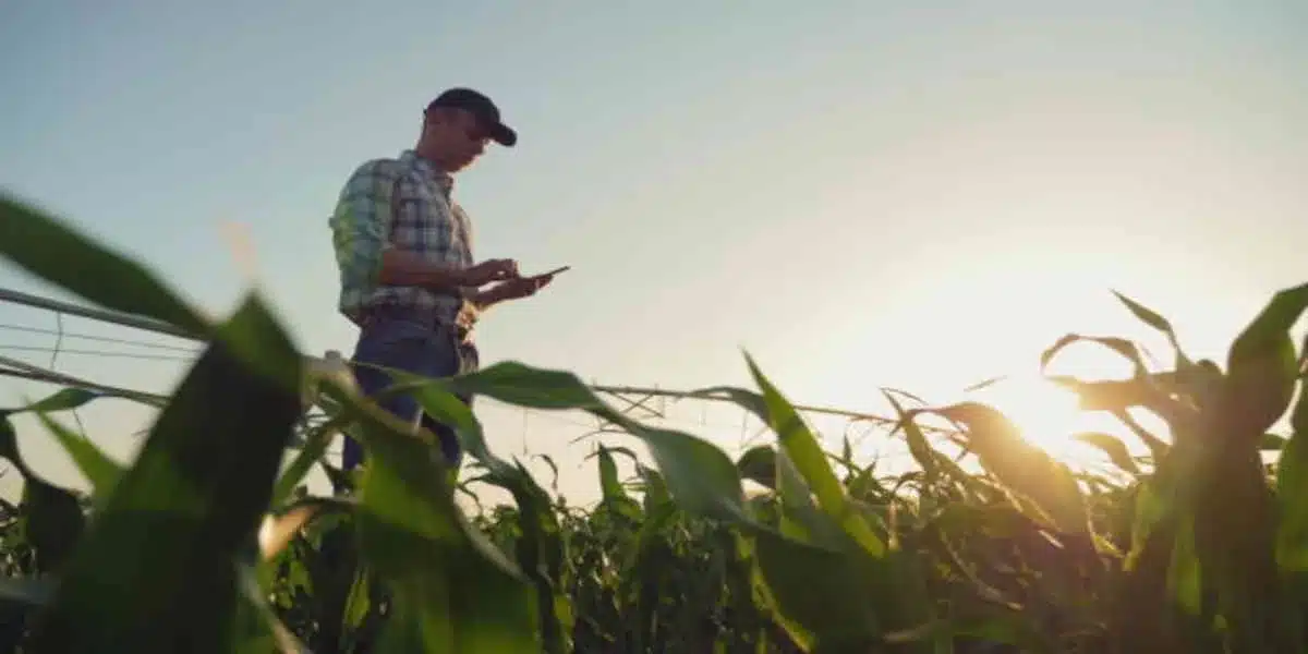 Nous sommes actuellement confrontés à une catastrophe agricole d'ampleur