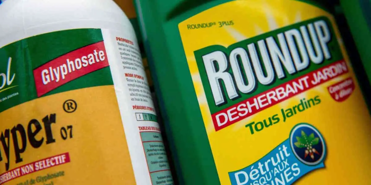 Le glyphosate est renouveler pour dix ans, faute d'accord entre les pays membres de l'UE 