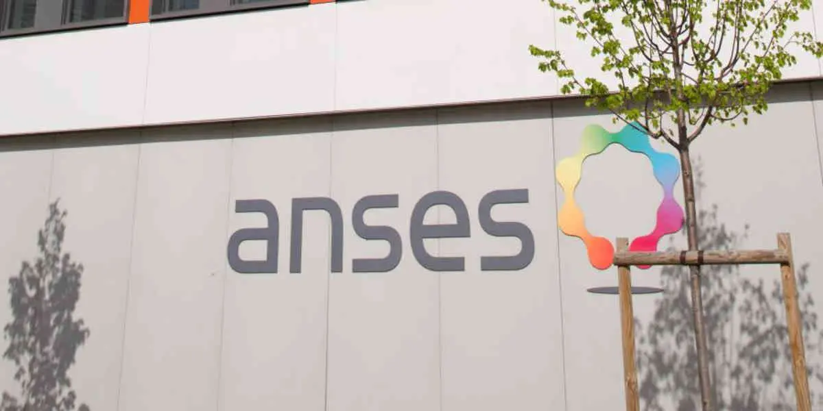 Selon l'Anses, les réseaux sociaux nuisent à la santé des adolescents