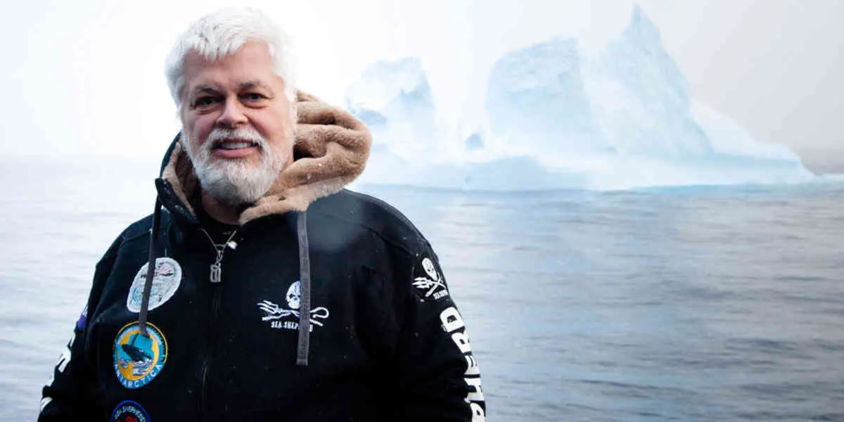 La France a refusé l'asile politique à Paul Watson l'activiste à la tête de l'ONG Sea Shepherd