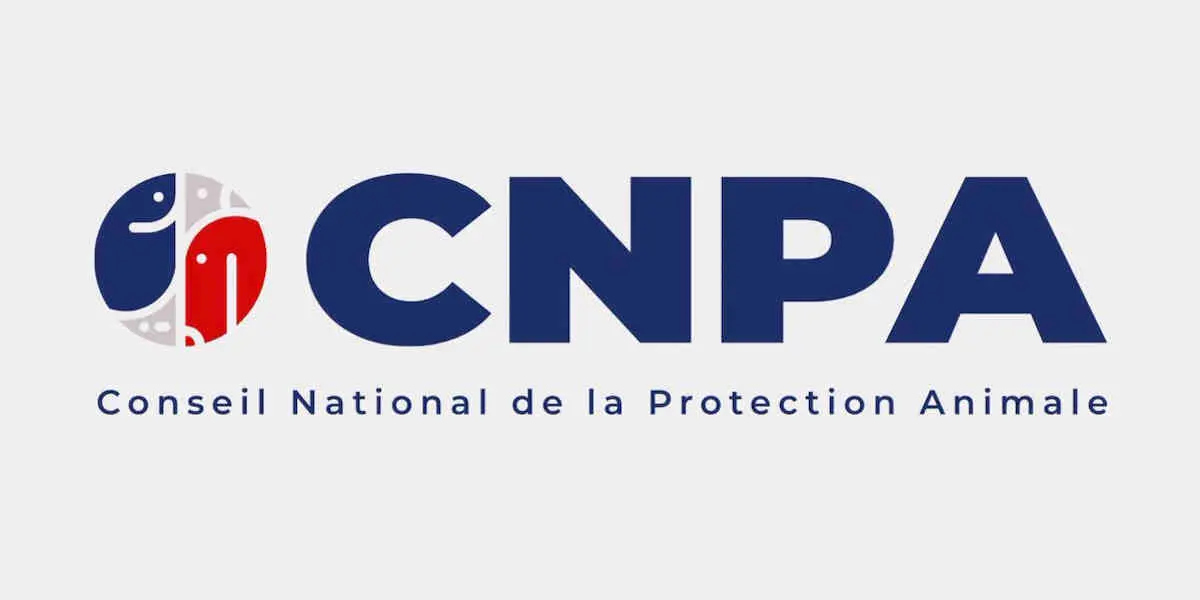 cnpa - Votre Actualité au Quotidien Financement : un
