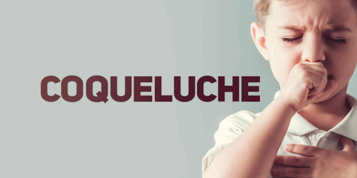 coqueluche - Votre Actualité au Quotidien En France, l'épidémie de coqueluche se poursuit et a causé la mort de 20 enfants depuis janvier