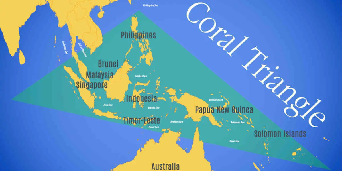 Les marées noires menace le Triangle de corail