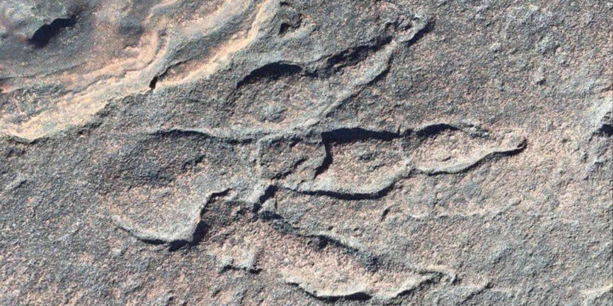 200 empreintes de dinosaures découvertes dans le sud de l’Angleterre