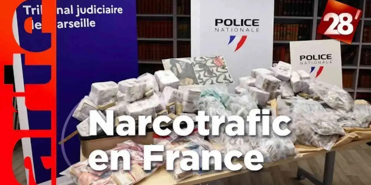 LFI, PC et Écologistes saisissent le Conseil constitutionnelle sur la Loi contre le narcotrafic