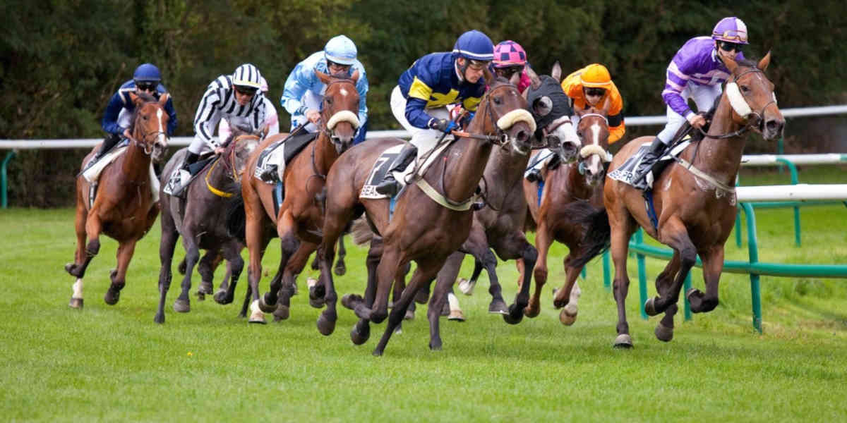 Le PMU au plus mal avec de moins en moins de parieurs