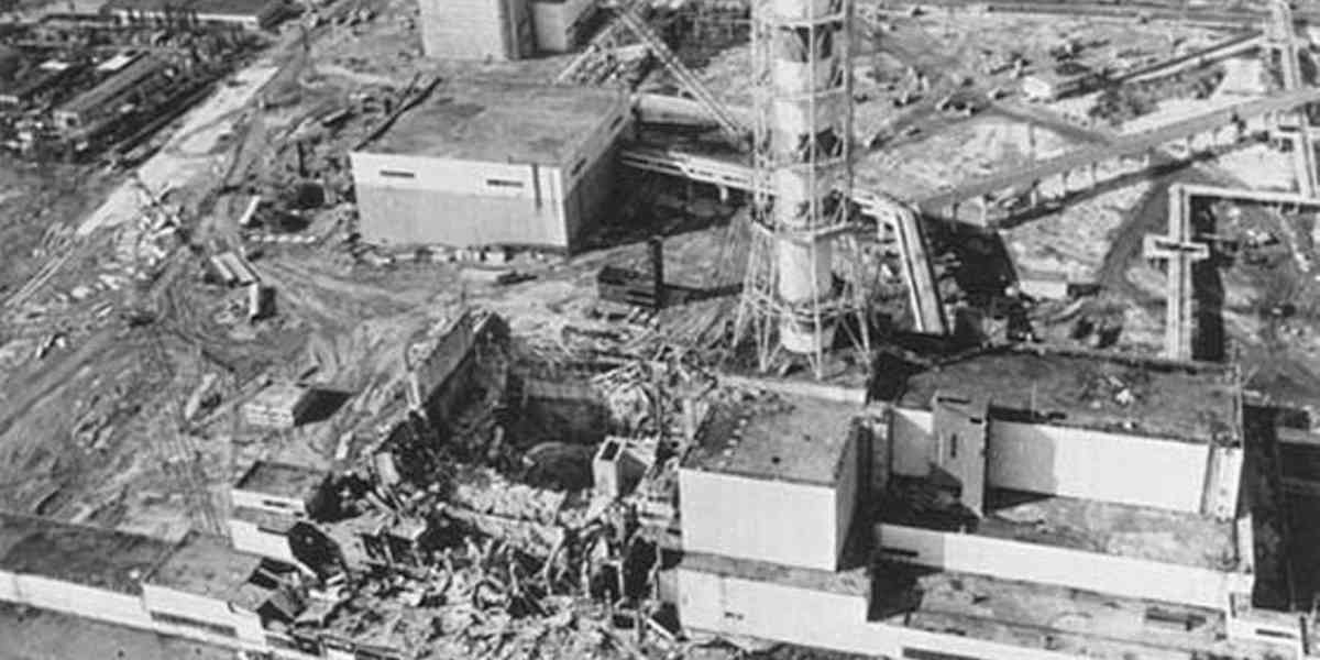 40 ans après la catastrophe de Tchernobyl, une association lance un appel aux ramasseurs de champignons