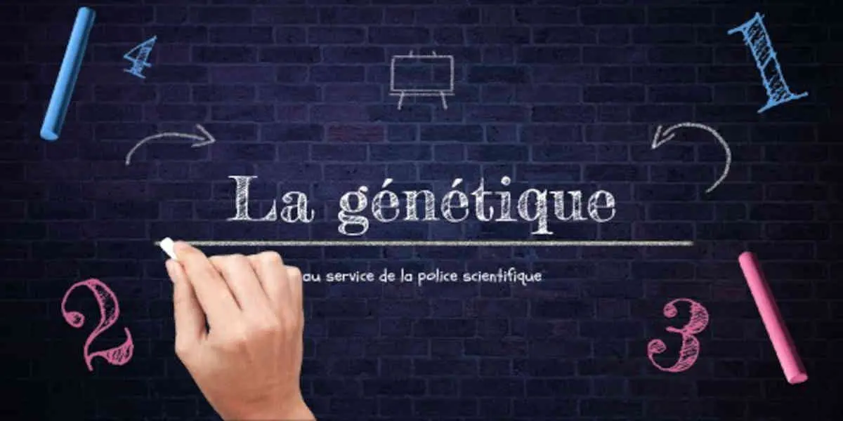 La généalogie génétique pourrait-elle être légalisée en France ?