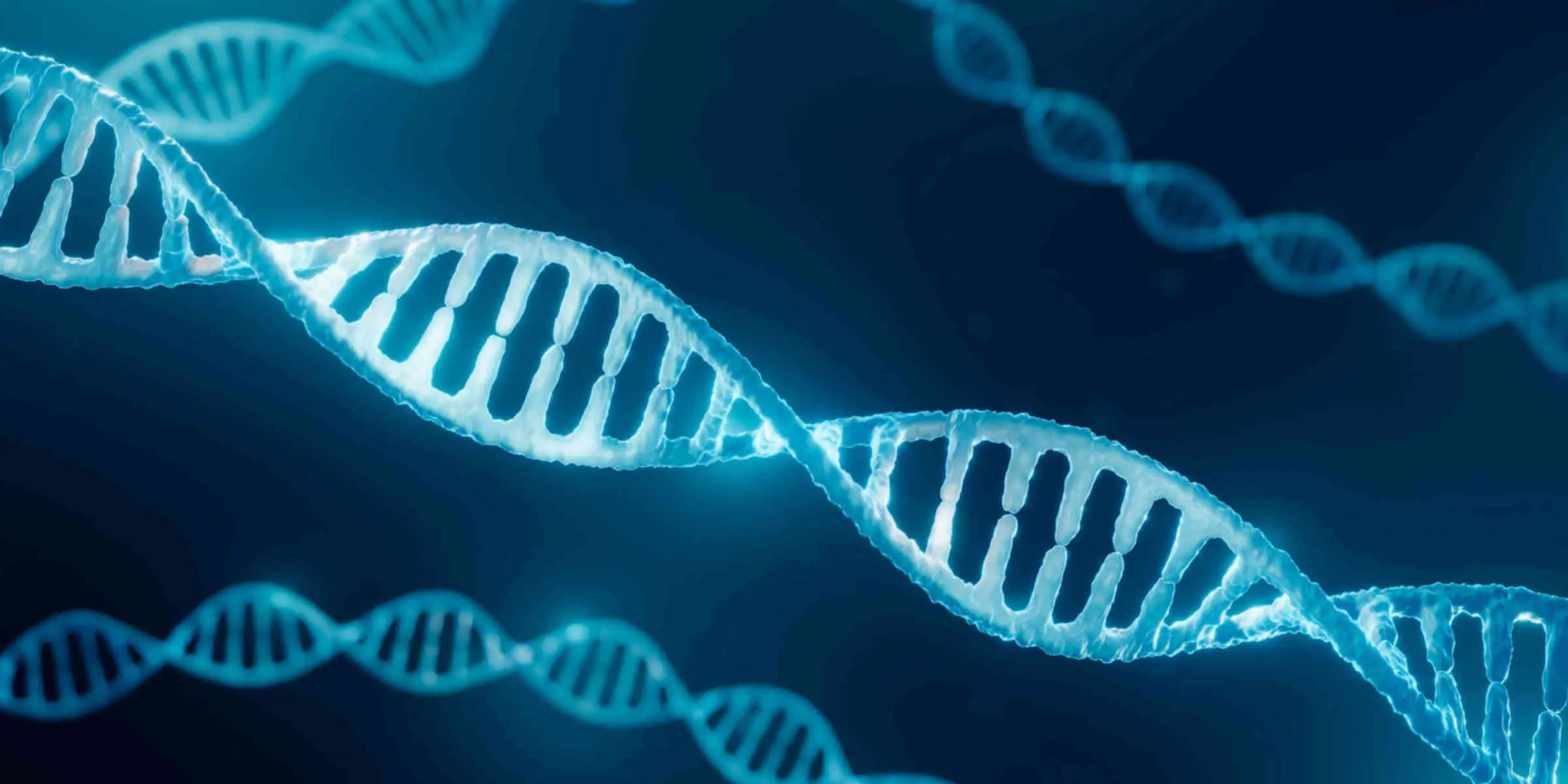 Bientôt la légalisation des tests ADN !