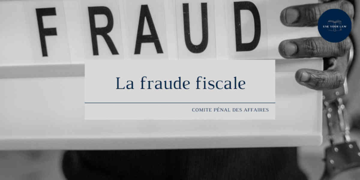 Lutte contre les fraudes sociales et fiscales